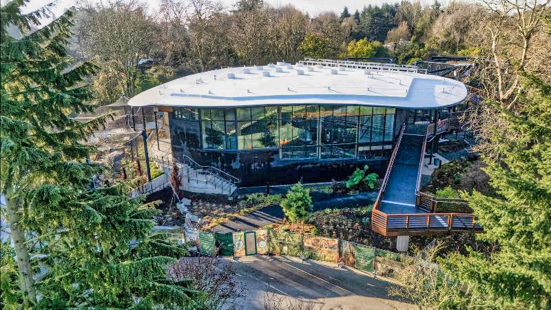 All-new Forest Trailhead exhibit opens May 1 at Woodland Park Zoo ...